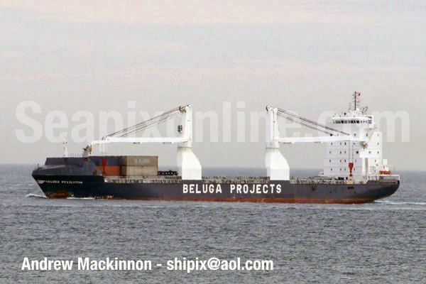 Beluga Revolution 9267742 ID 6117